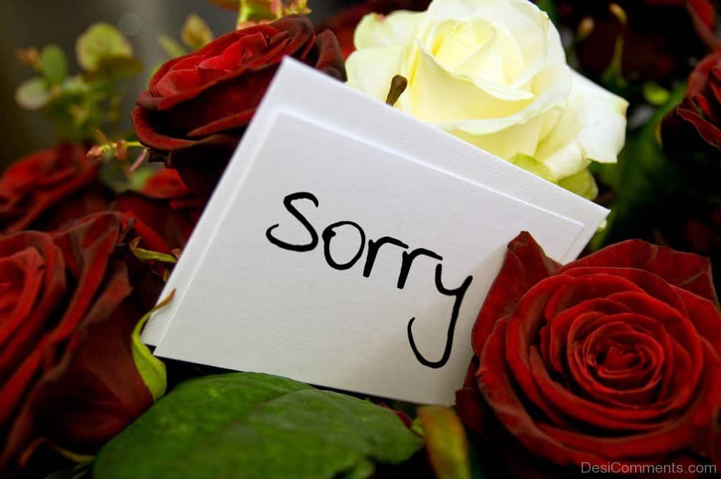 Unique And Adorable Ways To Apologize To Your Partner