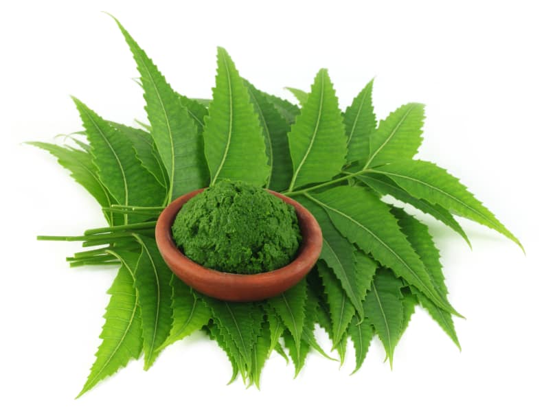 Beat Monsoons Woes With The Power Of Neem!