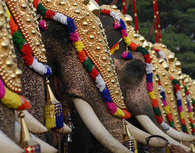 Thrissur Pooram  temple festival all you need to know