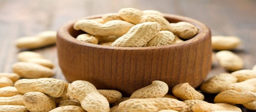 Health benefits of groundnut