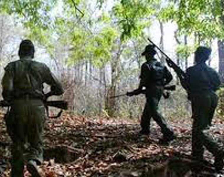 Chattisgarh: 8 naxals including four women killed in encounter with security forces
