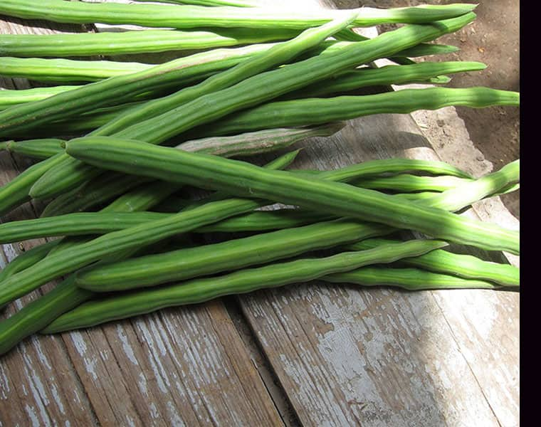 after onion, drumstick price increased