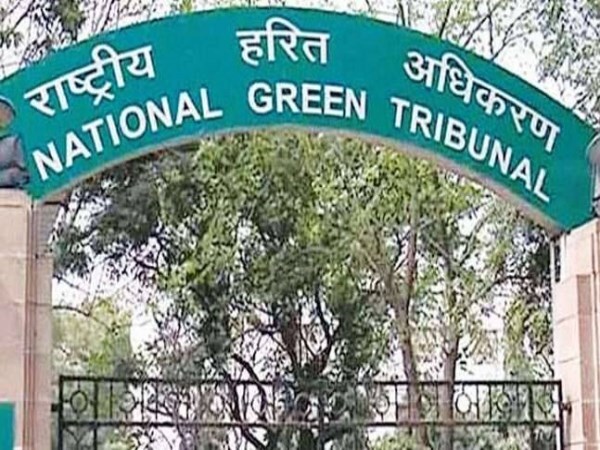 NGT fines Delhi government Rs 50 crore for not taking action against illegal steel pickling units