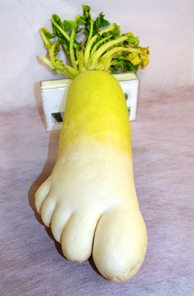 funny looking vegetables