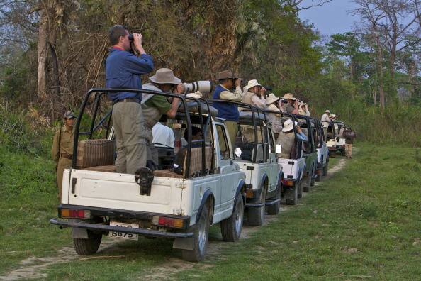 Deea Deb The Ultimate Guide to Wildlife Sanctuary Trips