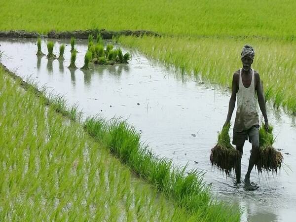 18000 crore financial assistance scheme to benefit 9 crore farmers .. Modi launches on the 25th.