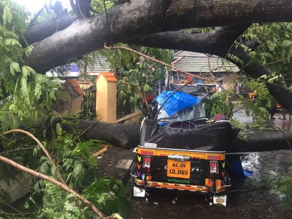cyclone ockhi claims eight lives and rain continues