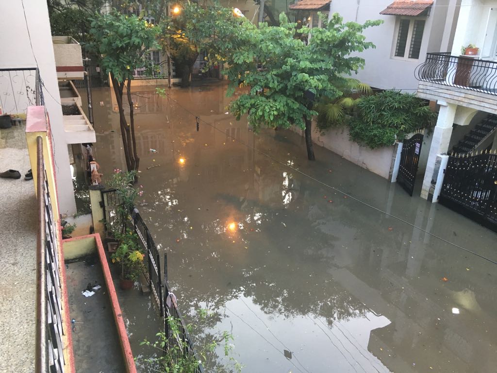 bengaluru heavy rains tree collapses houses inundated