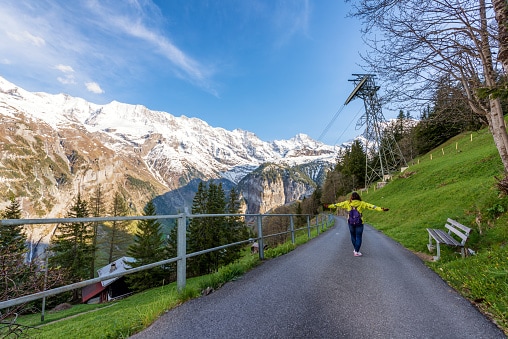 Home to the Alps Switzerland
