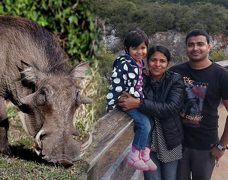 family remain critical NZ hospital children escape wild boar poisoning