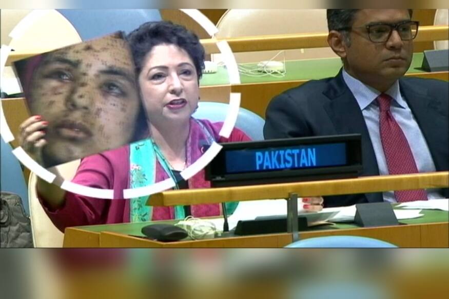 pakistan raises critics against india