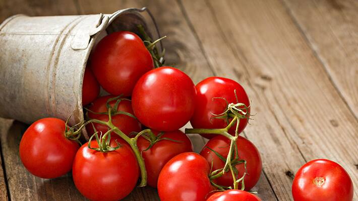 Eating tomatoes daily can reduce the risk of skin cancer by half in men Eating tomatoes daily can reduce the risk of skin cancer by half in men