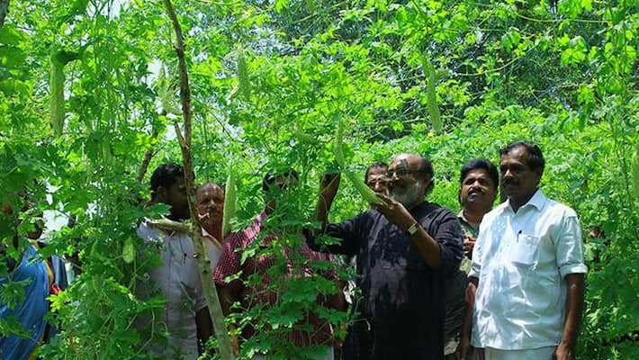 Kerala Elections 2016 Thomas Issac's green drive stopped Kerala Elections 2016 Thomas Issac's green drive stopped
