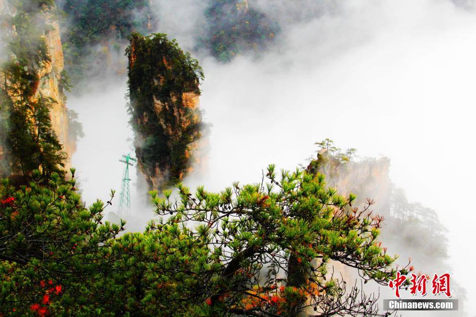 Avatar hills china