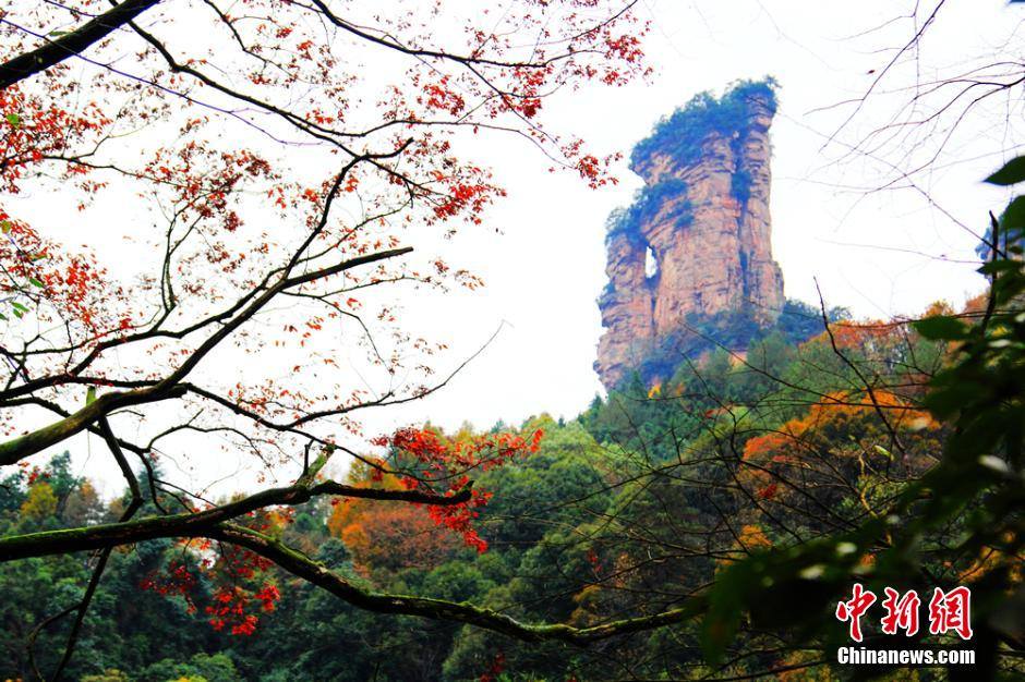 Avatar hills china