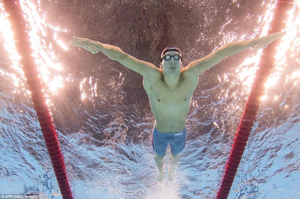Incredible photos show off Olympic swimmers