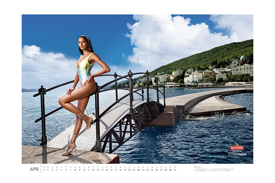 kingfisher calendar