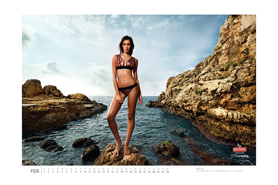kingfisher calendar