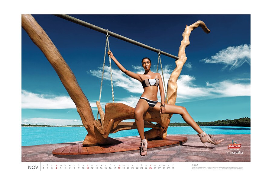 kingfisher calendar