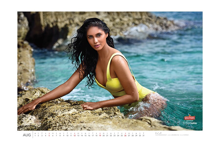 kingfisher calendar