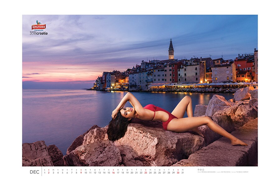 kingfisher calendar