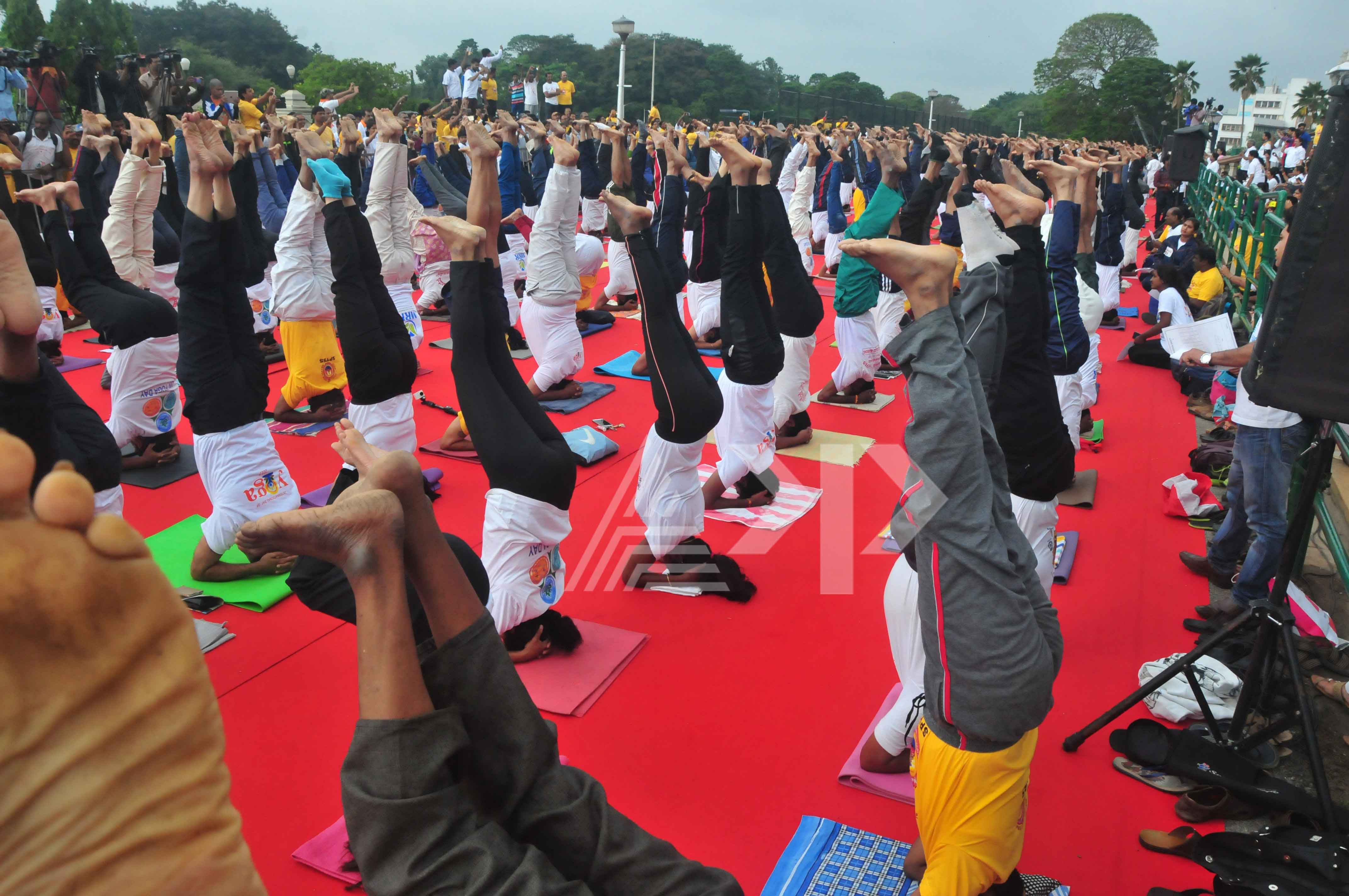 Preparation Done For International Yoga Day