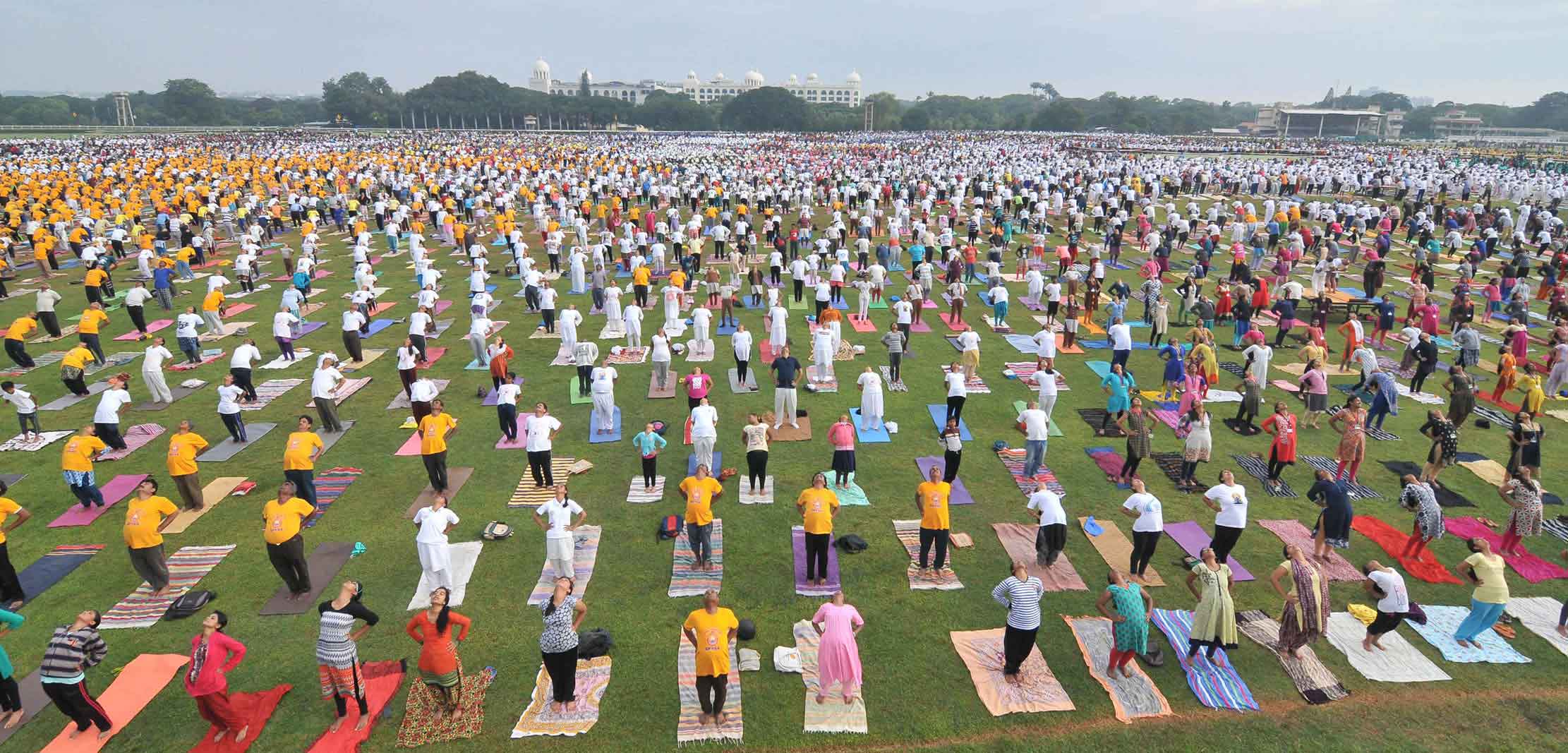 Preparation Done For International Yoga Day