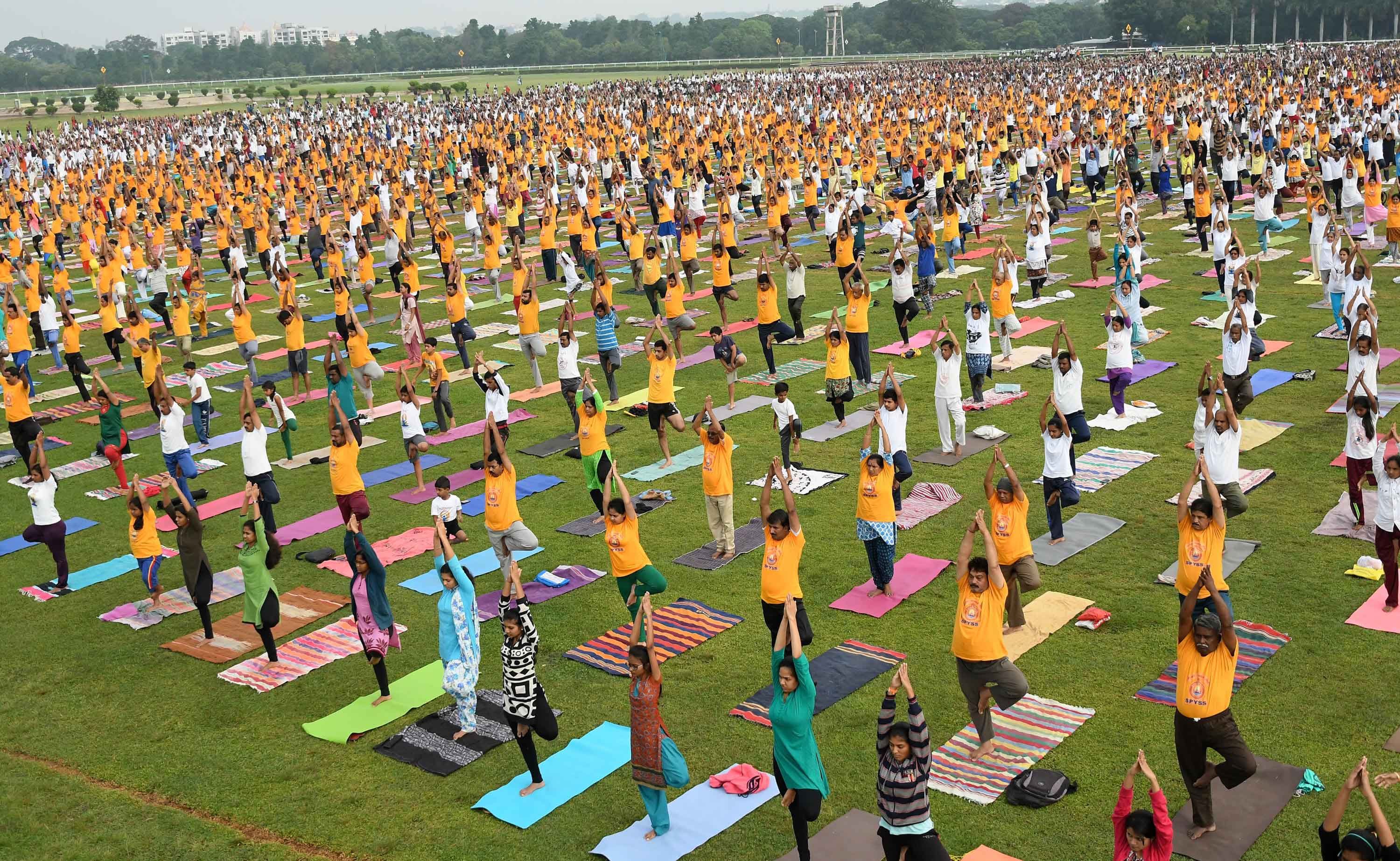 Preparation Done For International Yoga Day