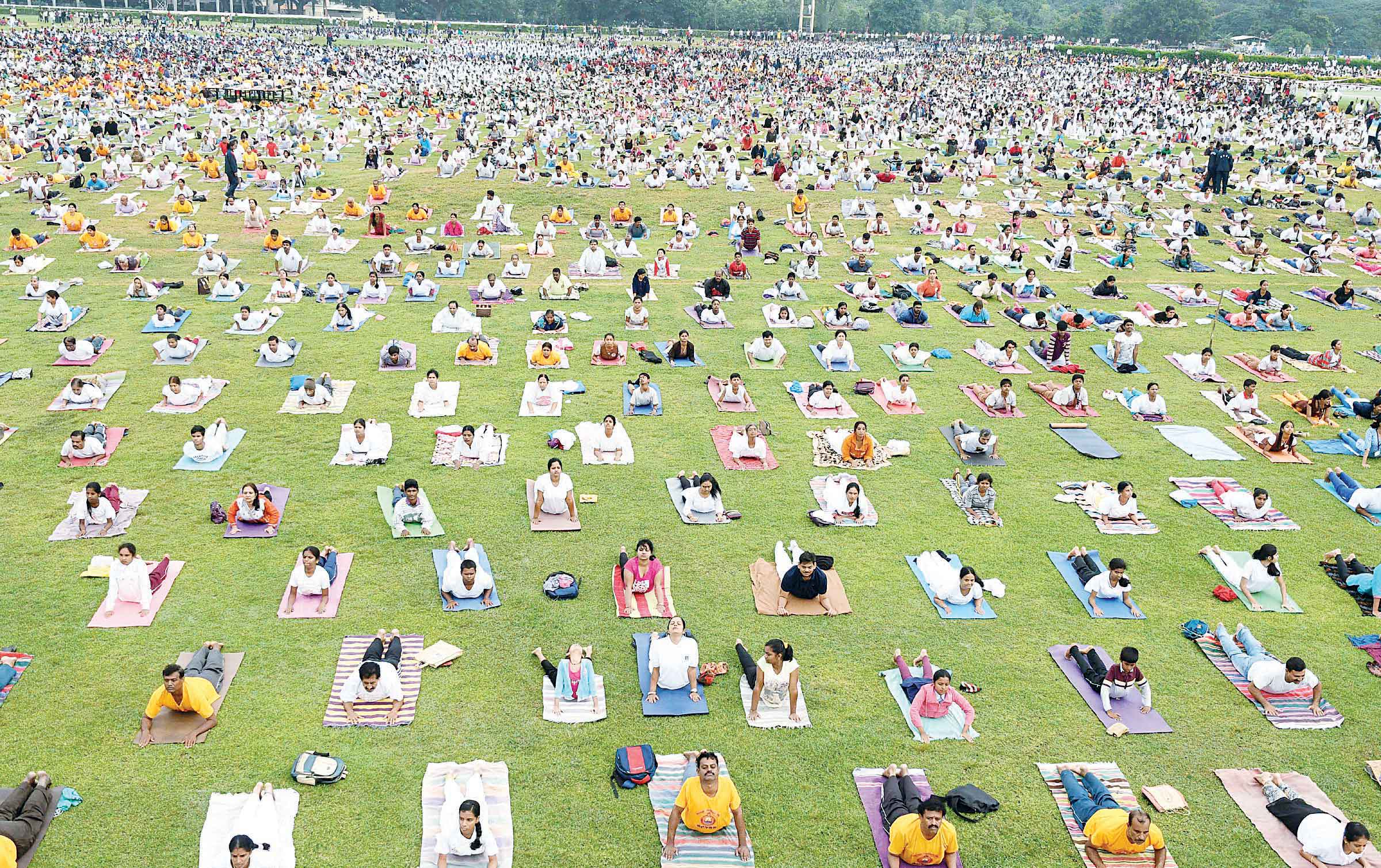 Preparation Done For International Yoga Day