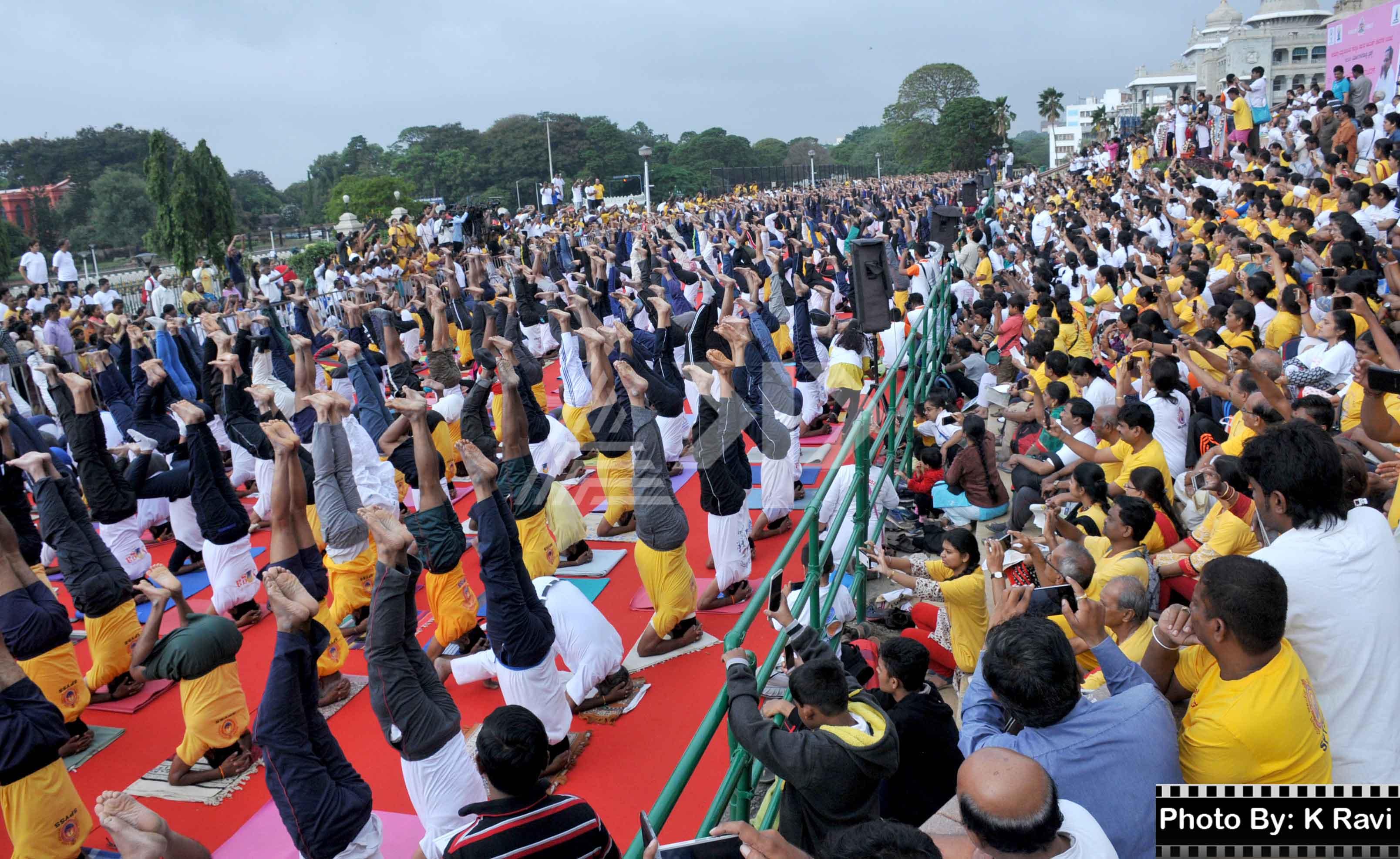 Preparation Done For International Yoga Day