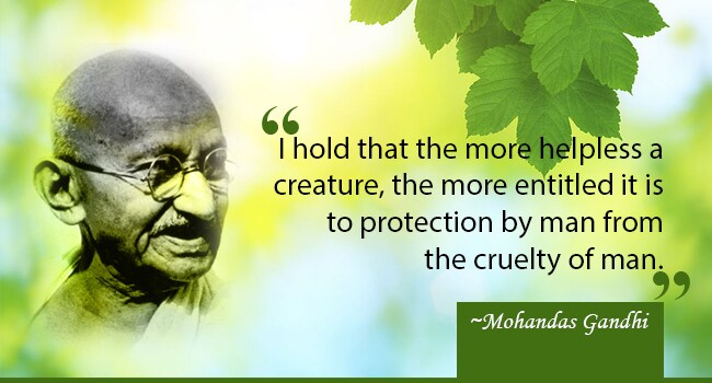 veg day quotes
