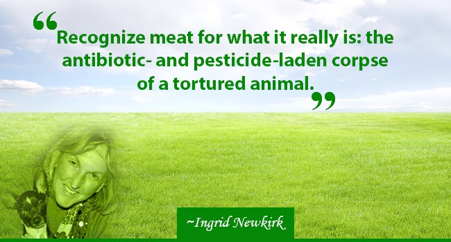 veg day quotes