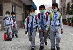 Delhi air pollution government precautionary measures very severe dust masks