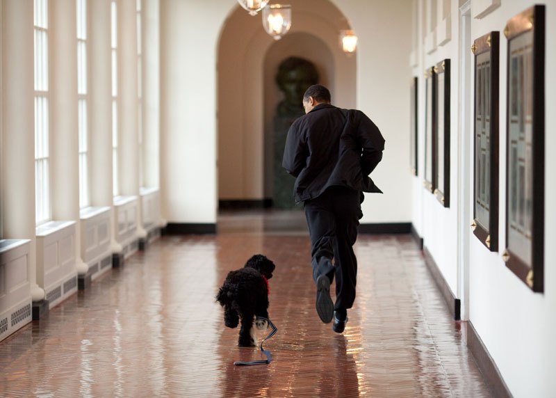 Barack Obama10 Pictures of the coolest and the most romantic US President