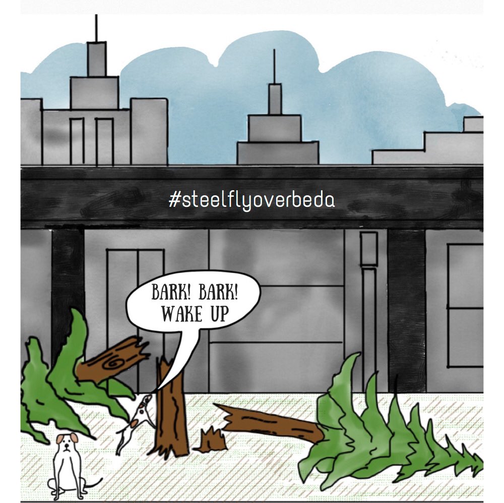 Must see 13 pics one voice NO STEEL FLYOVER