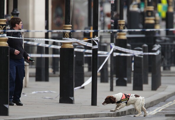 In pics: Terror attack at UK Parliament
