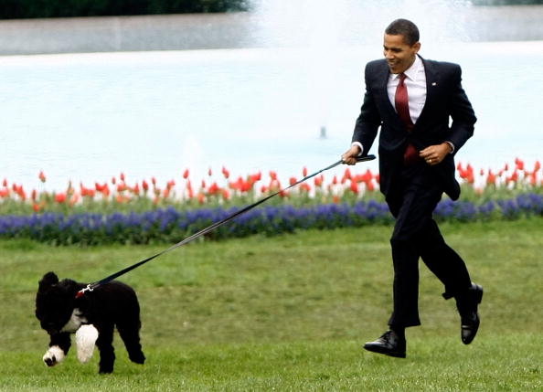 8 years of the coolest President US has ever had: Obama