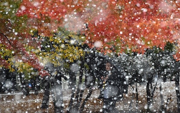 Tokyo experiences November snowfall for the first time in 54 years