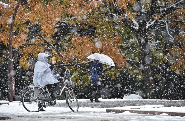 Tokyo experiences November snowfall for the first time in 54 years