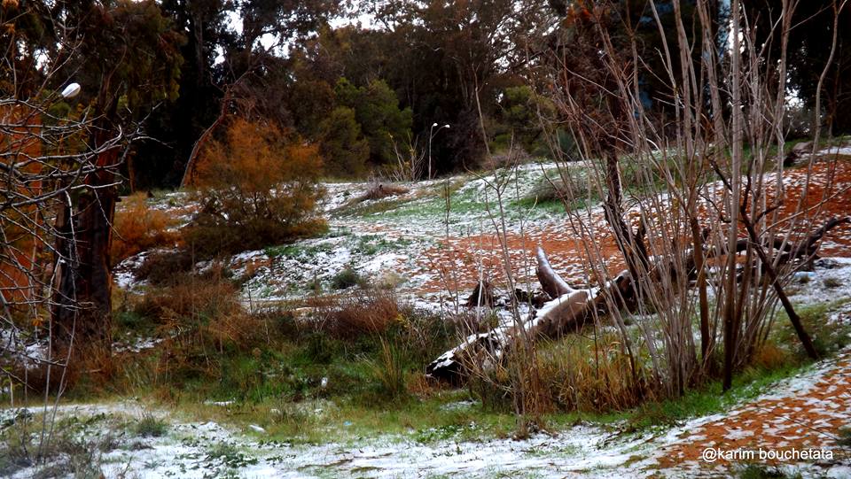 snowfall in the Sahara desert