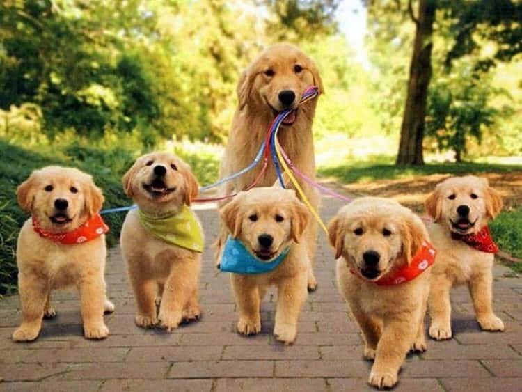 Pics of the day Proud moms with their babies