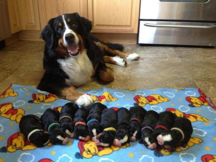 Pics of the day Proud moms with their babies