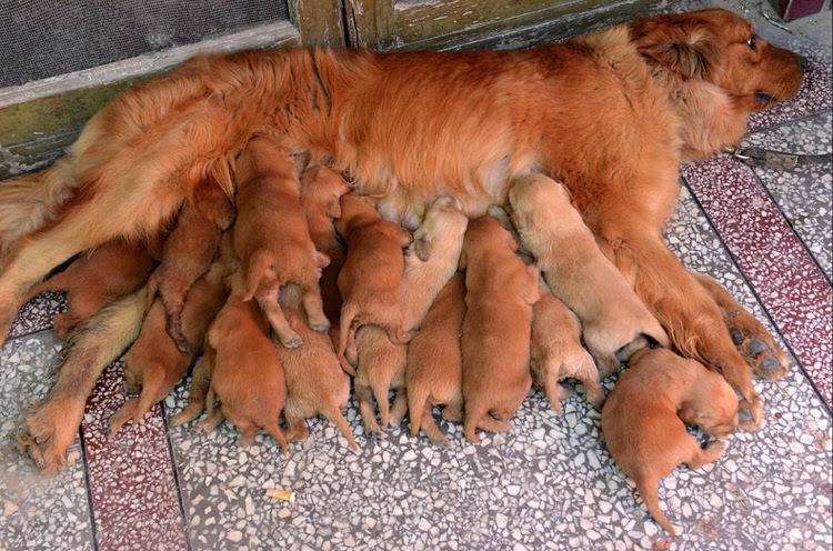Pics of the day Proud moms with their babies