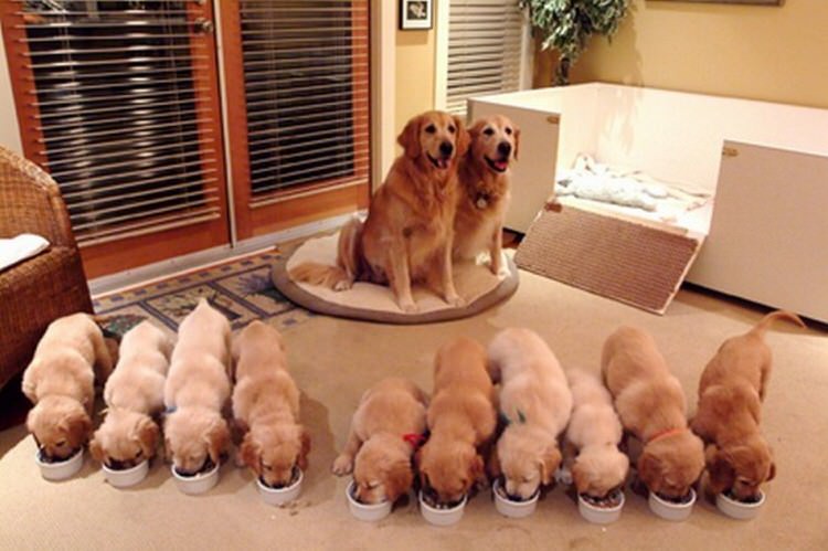 Pics of the day Proud moms with their babies