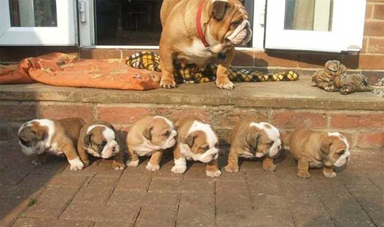 Pics of the day Proud moms with their babies