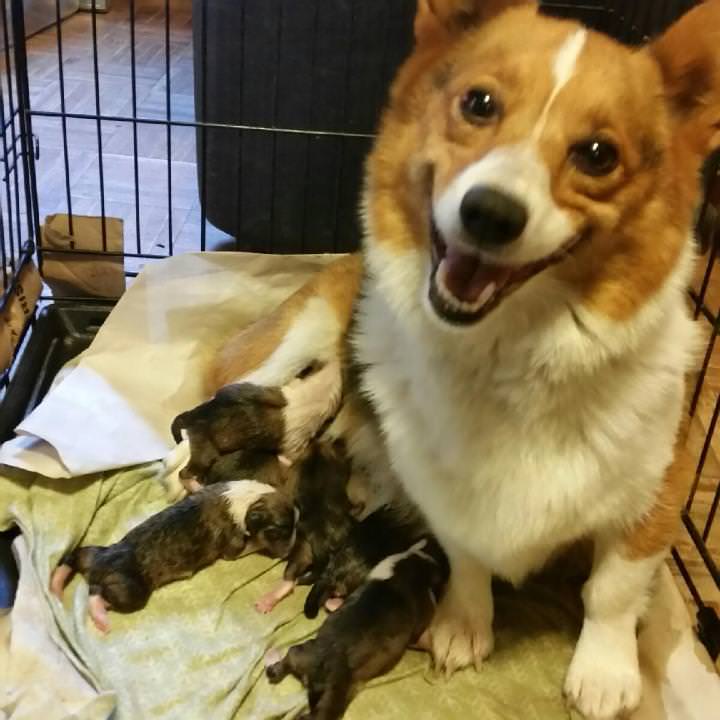 Pics of the day Proud moms with their babies