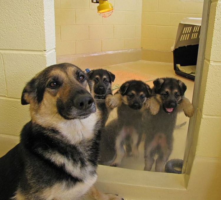 Pics of the day Proud moms with their babies