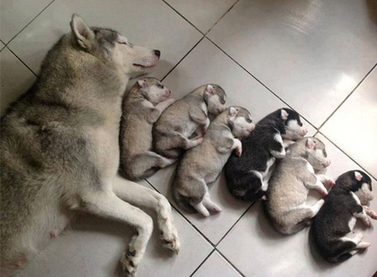 Pics of the day Proud moms with their babies