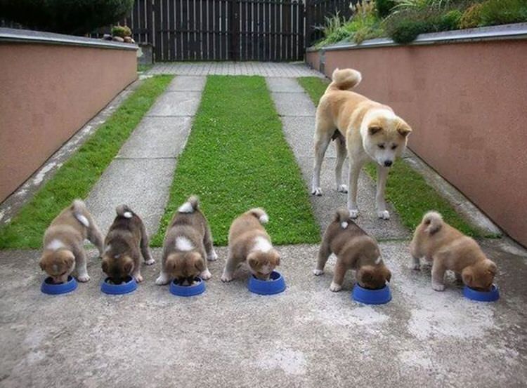 Pics of the day Proud moms with their babies