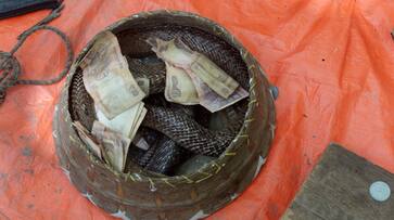 snake charmers released snakes in train after not earning enough money in uttar pradesh kms snake charmers released snakes in train after not earning enough money in uttar pradesh kms